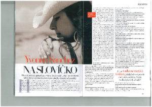 scan11